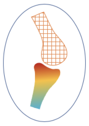 Musculoskeletal Tissue Mechanics Logo